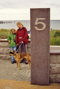 fünf